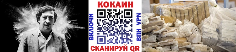 COCAIN Fish Scale  закладки  Борзя 