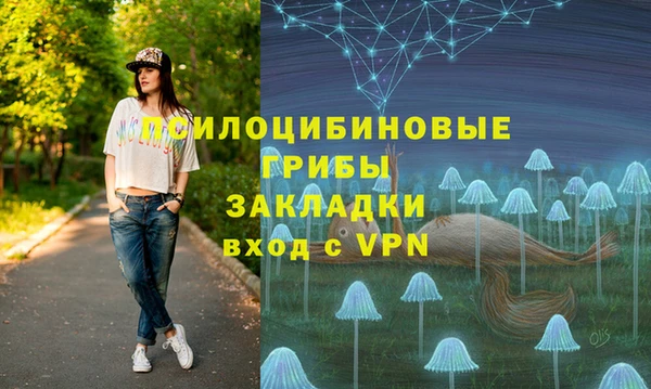 твердый Алзамай