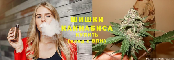 твердый Алзамай