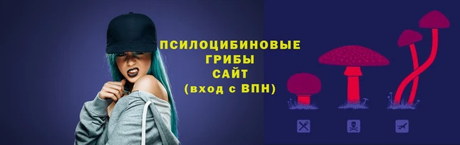твердый Алзамай
