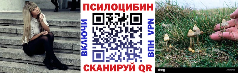 магазин    Борзя  Галлюциногенные грибы ЛСД 